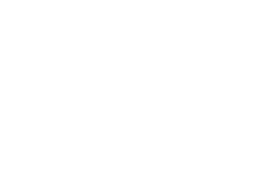 TRAVIZGO