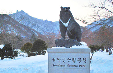 ทัวร์เกาหลี เที่ยวรับฤดูหนาว สนุกเต็มอิ่มที่สวนสนุกเอเวอร์แลนด์  5 วัน 3 คืน สายการบินจิน แอร์