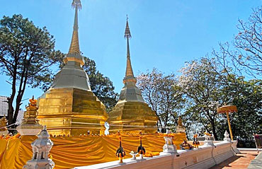 ทัวร์เชียงราย ชมพระตำหนักดอยตุง เที่ยวไร่สิงห์ปาร์ค สักการะพระแก้วมรกต ณ วัดพระแก้ว  3 วัน 2 คืน สายการบินไทยสมายล์